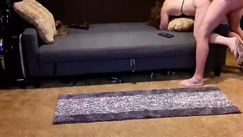 Pocono Wife Bouncing Ass Vs BBC Collection XHamster