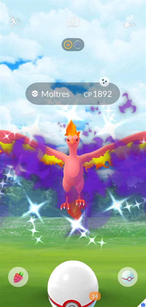 Shadow Moltres Raid Guide | Pokémon GO Hub