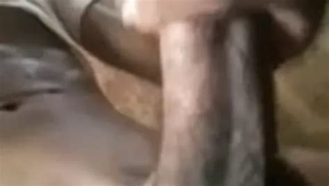 Venezuelan Shemale Porn Videos XHamster