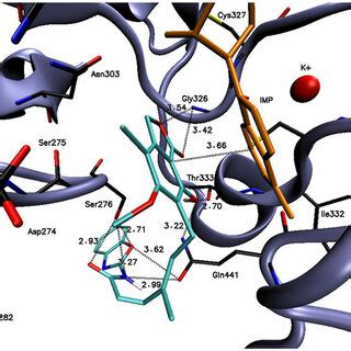 Docked Binding Mode And Distances To The Amino Acid Residues Of IMPDH