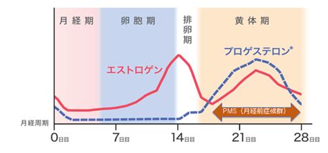 ＜pms特集①＞このイライラはpms（月経前症候群）のせいですか？ 公益社団法人女性の健康とメノポーズ協会