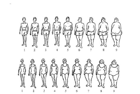 Stunkard Scale Attitudes And Beliefs About Persons With Obesity