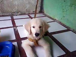 Youjizz Porn Tube Videos At Youjizz