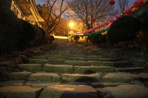 관악산 토요일 야간산행 네이버 블로그