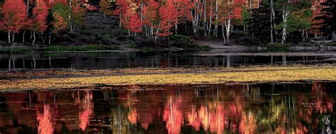 Duck Creek Village Ut Tourismus In Duck Creek Village Tripadvisor