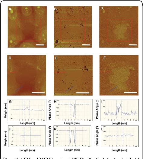 Figure 1 From Magnetic Force Microscopy For Nanoparticle