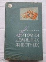 А.И. АКАЕВСКИЙ - АНАТОМИЯ ДОМАШНИХ ЖИВОТНЫХ, СЕЛЬХОЗИЗДАТ, 1962 ...