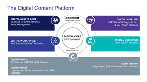 Sap And Opentext Partnership