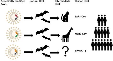 Frontiers Unraveling The Epidemiology Geographical Distribution And