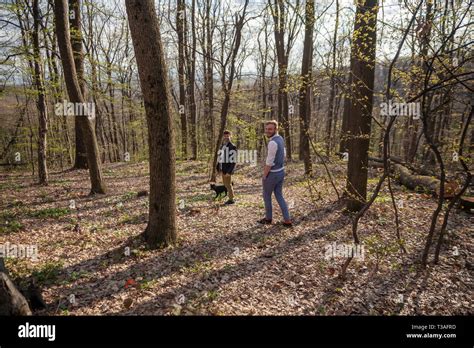 Deux hommes jeunes gay couple en train de marcher en forêt avec leur chien poser et à la