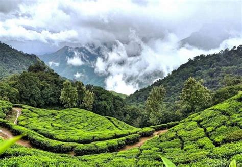 Munnar Thekkady Tour Packages 2 Nights 3 Days Holiday Package