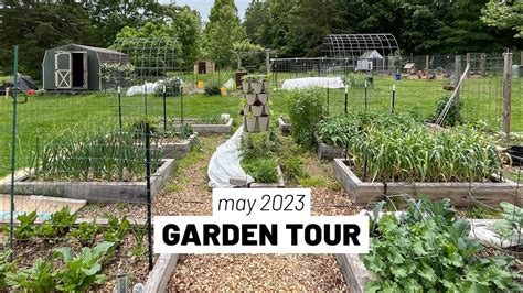 May 2023 Full Homestead Vegetable Garden Tour Everything Has Been