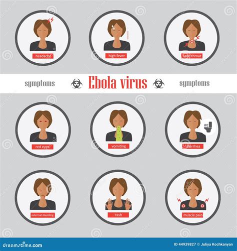 Ebola Symptoms And Signs Infographics Stock Vector Illustration Of