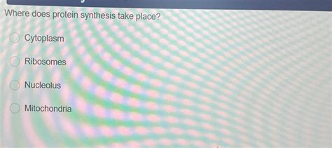 Solved Where does protein synthesis take | Chegg.com 