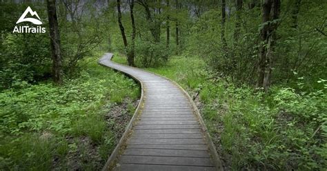 Best hikes and trails in Lansdale | AllTrails