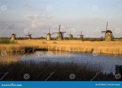 Dutch Windmills in Kinderdijk Stock Image - Image of green ...