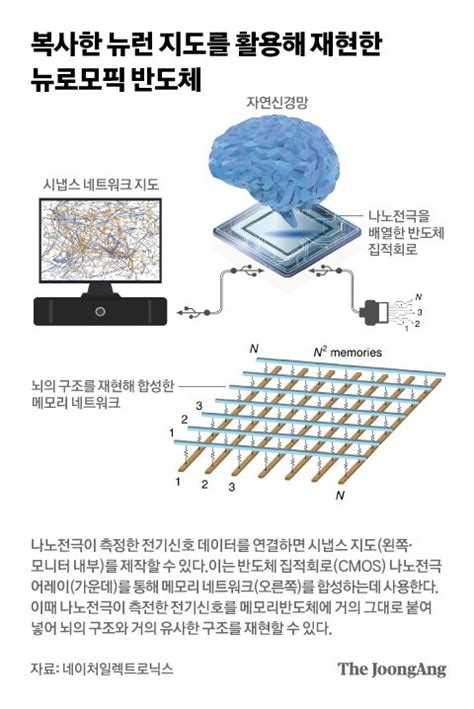 “사람의 뇌처럼” 이것이 삼성이 제시하는 ‘신개념 반도체 중앙일보