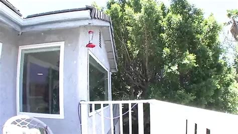 Boobzilla Porn Videos XHamster