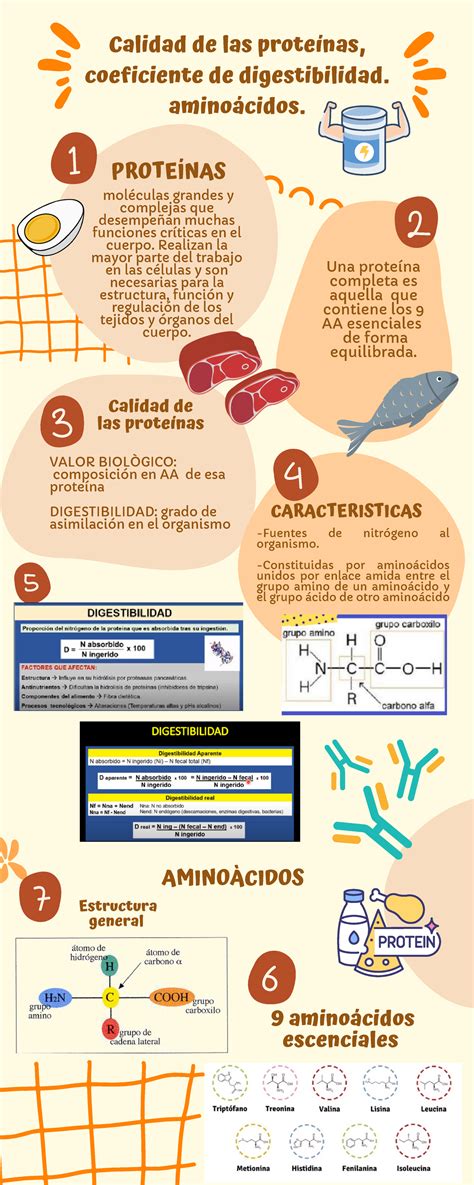 Infografía de nutrición 9 aminoácidos escenciales Calidad de las