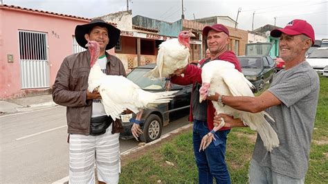 Parte Vanio Da Feira Das Galinhas Mostrando As Novidades Em Capoeira