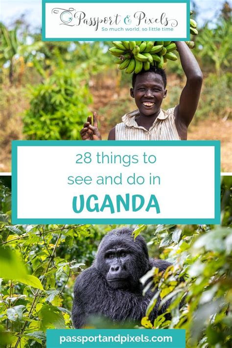 Brilliant Things To Do In Uganda Artofit