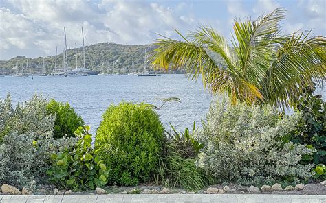 Home Beach Houses Antigua