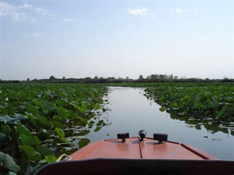 Anzali Lagoon With An Area Of About 20 Thousand Hectares In The North Of Ir