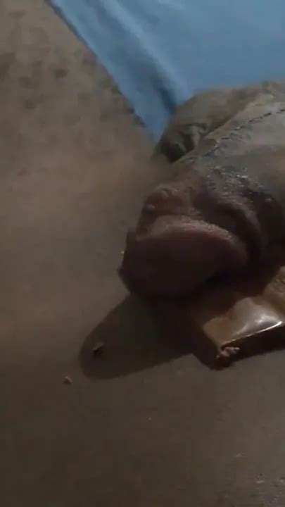 V Deos Gay De Porno Voyeur Xhamster