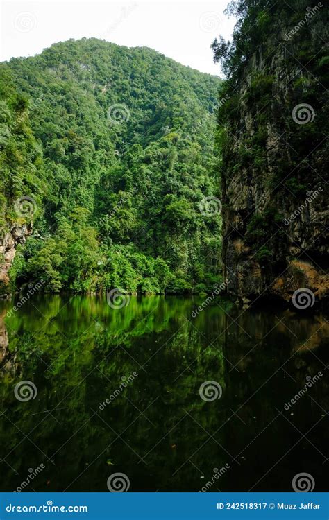 Greenery Scenery Of Mirror Lake Or Tasik Cermin In Ipoh Perak