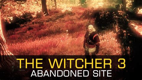 Abandoned Site Endrega Warrior Novigrad Velen The Witcher 3 Wild Hunt