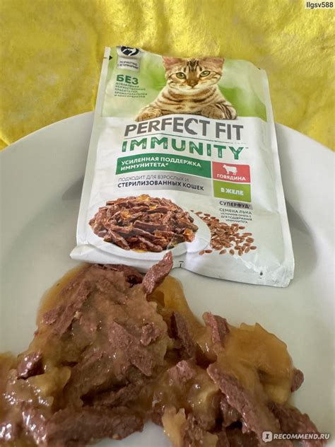 Корм для кошек Perfect Fit Immunity говядина - «Кошке очень вкусно ...