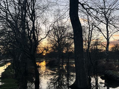 Celebrating 500 years of Romany history in the New Forest | Travellers