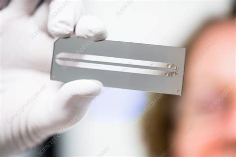 Automated DNA sequencing flow cell - Stock Image - C030/1786 - Science Photo Library