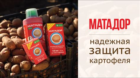 Матадор – надежная защита картофеля - YouTube