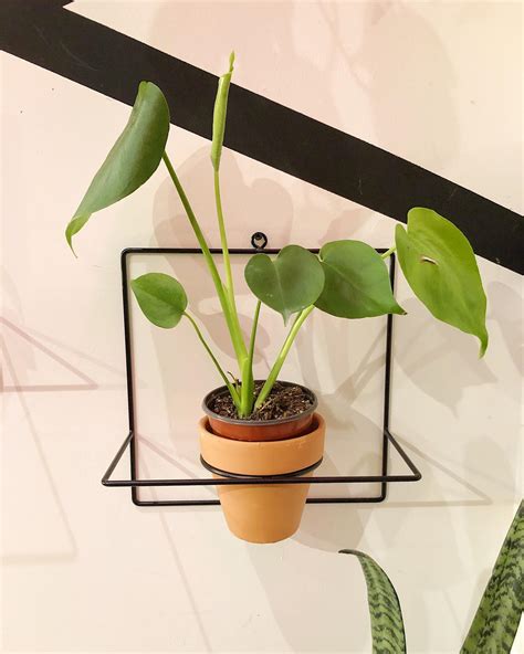 Humboldt House - Chicago, Illinois | Facebook