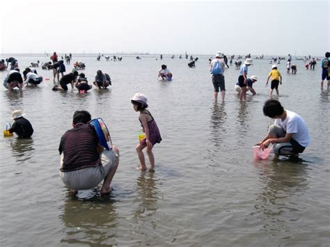 金田海岸潮干狩場 ｜ 木更津市観光