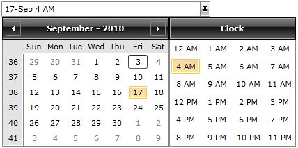 WPF DateTimePicker Formatting Telerik UI For WPF