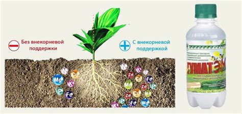 Жидкие удобрения: приготовление и техника внесения