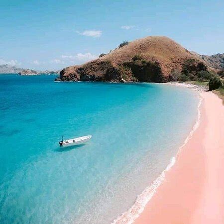 Alexandra Komodo Tour Labuan Bajo Aktuelle Lohnt Es Sich