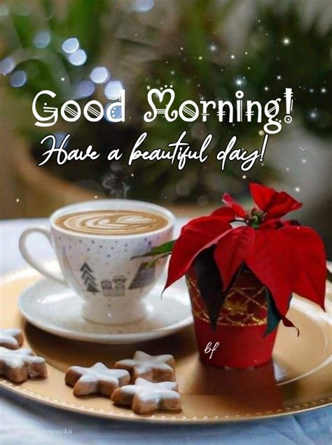 Pin By 🌺 𝓑 ℱ🌺 On ☀️good Morning☀️ Good Morning Christmas Good