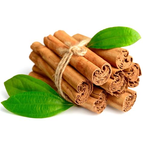 Cinnamon Essential Oil - Chaé Organics