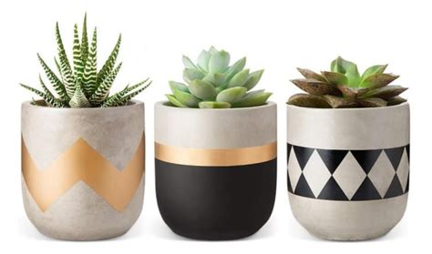 Shop Amazon Planters Indoor And Outdoor Planters Apartment Therapy