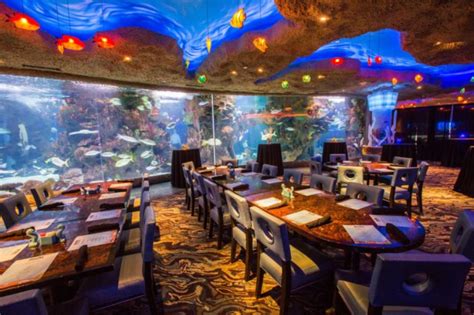 Dine Among Sea Creatures At The Houston Aquarium Restaurant In Texas