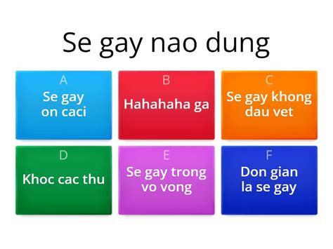 Se Gay Quiz