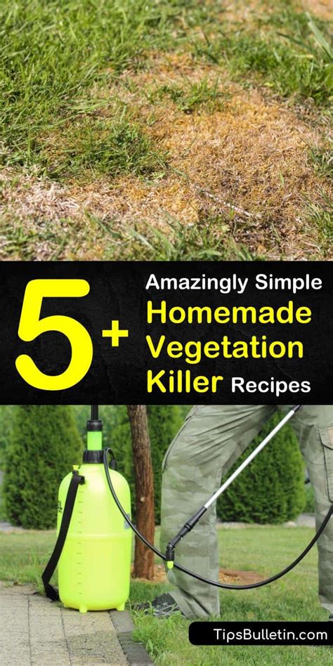 Amazingly Simple Homemade Vegetation Killer Recipes