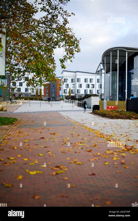 University of Hertfordshire campus, Hatfield Stock Photo - Alamy