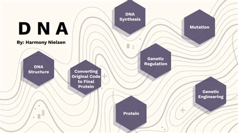 Dna Purposes By Harmony Nielsen On Prezi