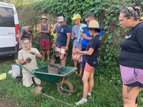 Syntropic Agroforestry Training In French Polynesia