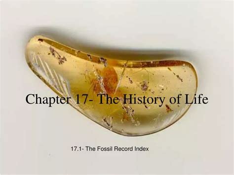 Ppt Chapter 17 The History Of Life Powerpoint Presentation Free