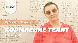 Выпойка молозива